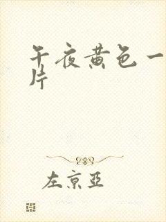 午夜黄色一级大片