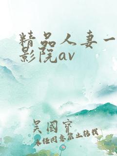 精品人妻一二三影院av
