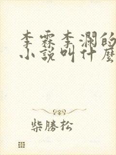 李霖李澜的官场小说叫什么