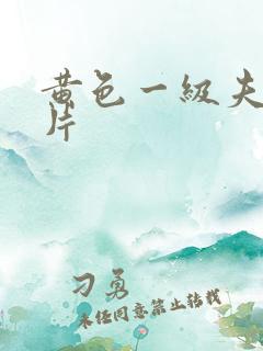 黄色一级夫妻大片