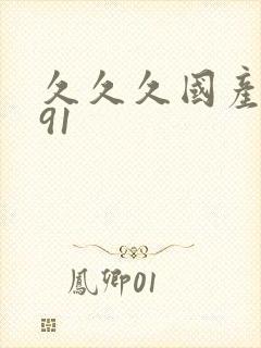 久久久国产精品91