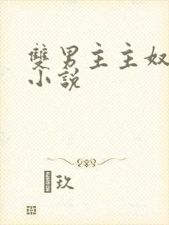 双男主主奴调教小说