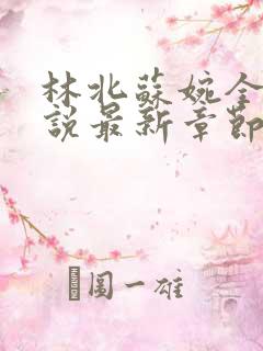 林北苏婉全本小说最新章节