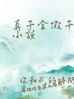 真千金假千金的小说