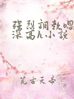 强烈调教嗯啊好深高h小说