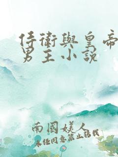 侍卫与皇帝的双男主小说