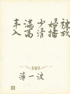 丰满少妇被猛进入高清播放