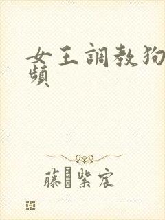 女王调教狗奴视频