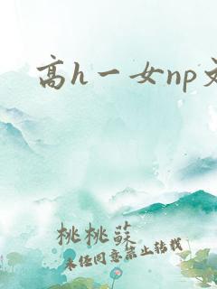 高h一女np文