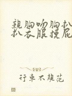 亲胸吻胸扒奶罩扒衣服摸屁股网站