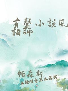 有声小说风水大相师