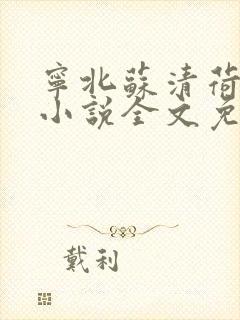 宁北苏清荷最新小说全文免费阅读