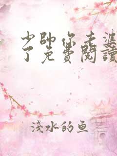 少帅你老婆又跑了免费阅读全