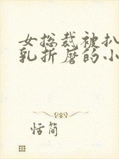 女总裁被扒开双乳折磨的小说