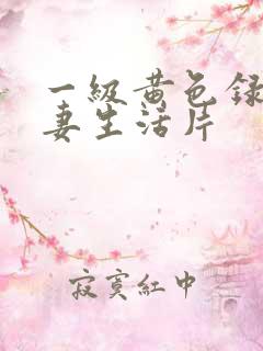 一级黄色录像夫妻生活片