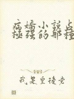 病娇小说占有欲极强的那种双男主