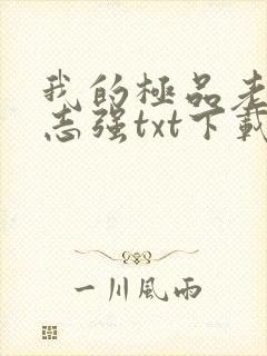 我的极品老婆方志强txt下载