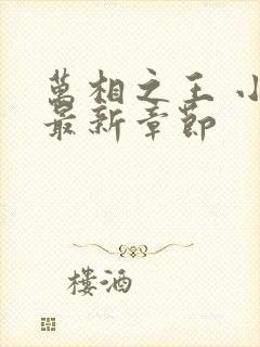 万相之王 小说最新章节