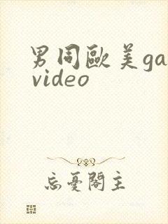 男同欧美gay video