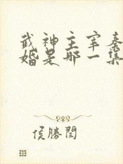 武神主宰秦尘抢婚是哪一集