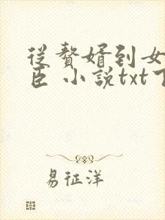 从赘婿到女帝宠臣 小说txt下载