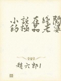 小说在线阅读我的极品老婆