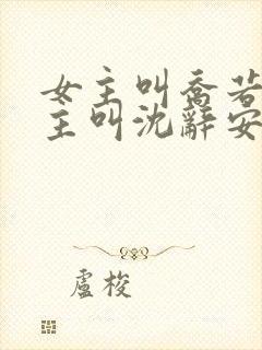 女主叫乔若兮男主叫沈辞安的小说