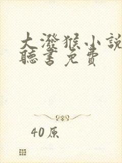 大泼猴小说有声听书免费