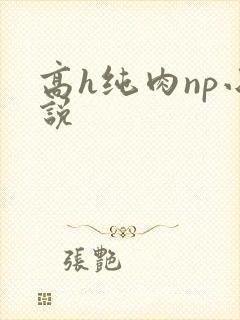 高h纯肉np小说