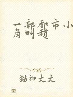 一部都市小说主角叫赵