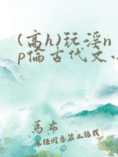 (高h)玩淫np伦古代文小说