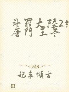 斗罗大陆2绝世唐门 王冬