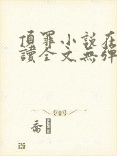 顶罪小说在线阅读全文无弹窗