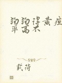 狗狗得黄疸治愈率高不