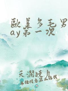 欧美多毛男同gay第一次