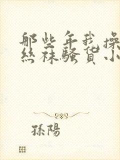 那些年我操过的丝袜骚货小说