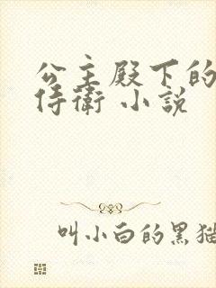 公主殿下的贴身侍卫 小说