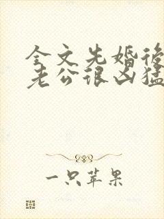 全文先婚后爱:老公很凶猛