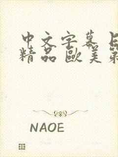 中文字幕 日韩精品 欧美第一页