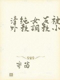 清纯女友被黑人外教调教小说