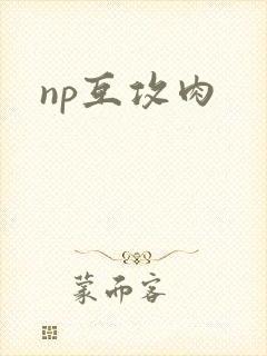 np互攻肉
