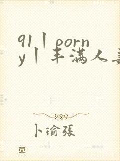 91丨porny丨丰满人妻