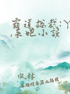 霸道总裁:丫头,来吧小说