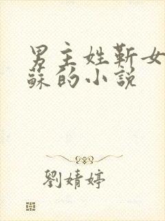 男主姓靳女主姓苏的小说