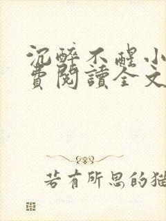 沉醉不醒小说免费阅读全文无弹窗