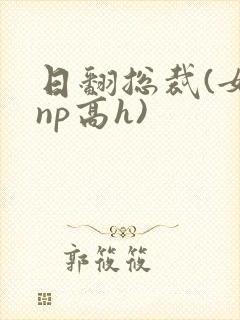 日翻总裁(女攻np高h)
