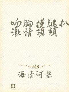 吻胸摸腿扒内裤激情视频