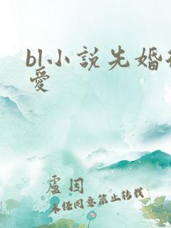 bl小说先婚后爱
