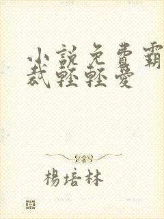 小说免费霸道总裁轻轻爱