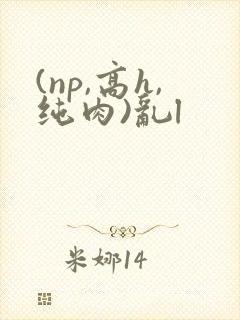 (np,高h,纯肉)乱l